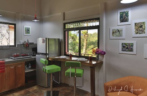 La Fortuna Apartment | Studio Apartment. Volcano view from terrace.