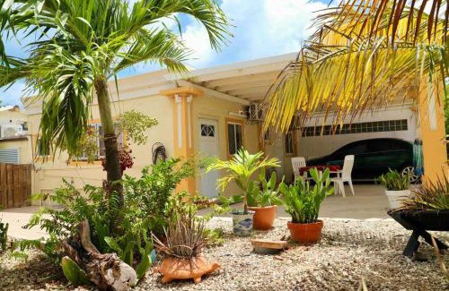 Oranjestad Apartment | Studio apt in Aruba plus optional Portuguese cooking with Grandma