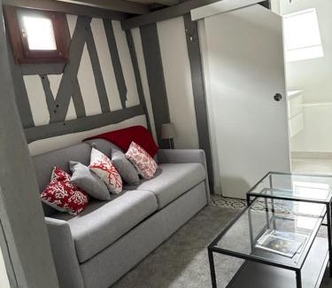 La Ferte-Bernard Apartment | Studio atypique