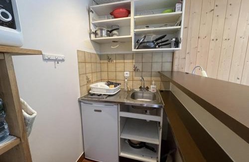 Laveissiere Apartment | Studio avec balcon au centre station, proche pistes et patinoire - FR-1-787-46