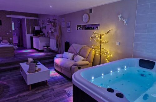 Westrehem Bed & Breakfast | Studio avec jacuzzi , terrasse amenagée et wifi à Westrehem