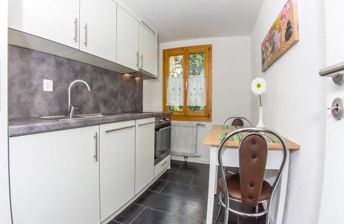 Graechen Apartment | Studio Bergfink Obergeschoss-5 by Interhome