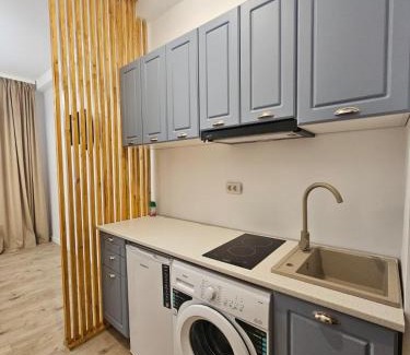 Copou Apartment | Studio Centru Luxory
