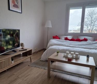 Fleury-les-Aubrais Apartment | Studio confort
