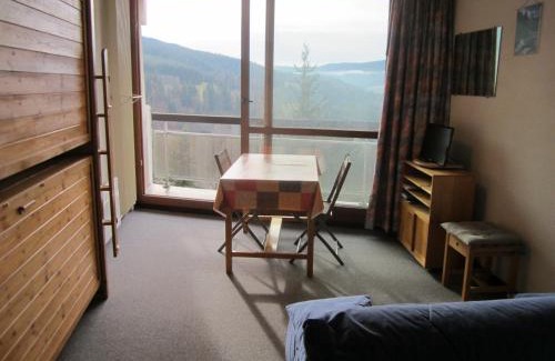Villard-de-Lans Apartment | Studio coquet 21m², 4 pers, pied des pistes, Côte 2000, balcon, prox. commerces, parking gratuit - FR-1-689-42