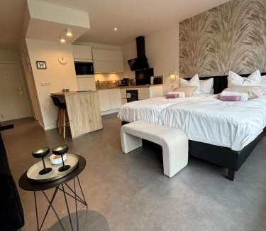 Spa Apartment | Studio de l'Avenue