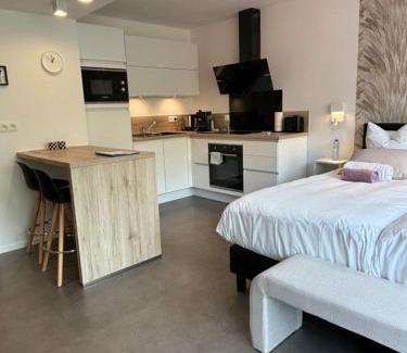 Spa Apartment | Studio de l'Avenue