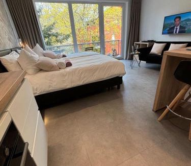 Spa Apartment | Studio de l'Avenue