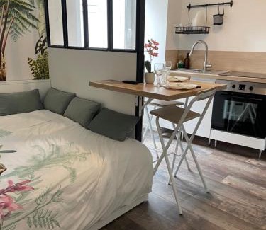 Castelnaudary Apartment | Studio design hypercentre Gare & espresso offert