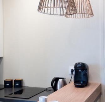 Yves Farge - Le Fleuve Apartment | Studio Design Paloma Dark