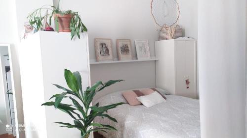 Barri Centre Apartment | Studio doria