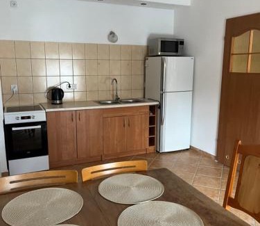 Augustow Apartment | Studio dwupokojowe z łazienką i kuchnią