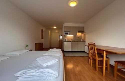 Vionnaz Apartment | Studio for 2 people with parking