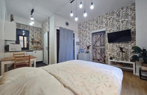 Aix-les-Bains City Center Apartment | Studio hypercentre 2 étoiles