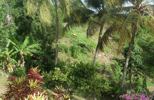 Le Gosier Apartment | Studio in gîte with 2 other T1 apartments