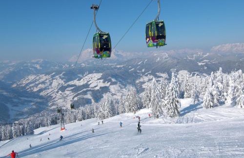 Kleinarl Apartment | Studio in Kleinarl near Ski Amade Slopes