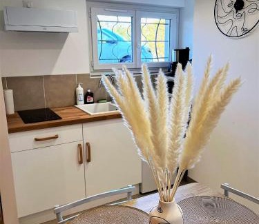 Noyers-sur-Cher Apartment | Studio Le Plum'Art, 10mn Zoo de Beauval avec jardin