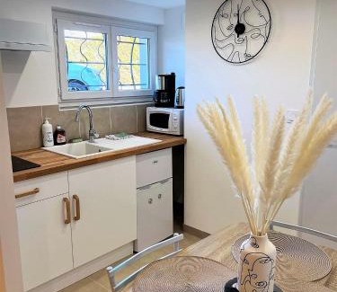 Noyers-sur-Cher Apartment | Studio Le Plum'Art, 10mn Zoo de Beauval avec jardin