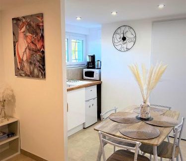 Noyers-sur-Cher Apartment | Studio Le Plum'Art, 10mn Zoo de Beauval avec jardin
