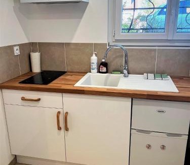 Noyers-sur-Cher Apartment | Studio Le Plum'Art, 10mn Zoo de Beauval avec jardin