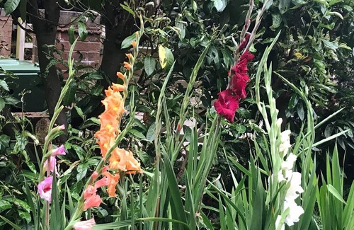 Cleedownton Apartment | Studio/lickey Hills/near Attractions/garden/petok