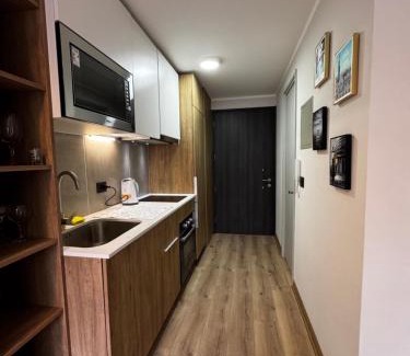 Downtown Santiago Apartment | Studio Lucia