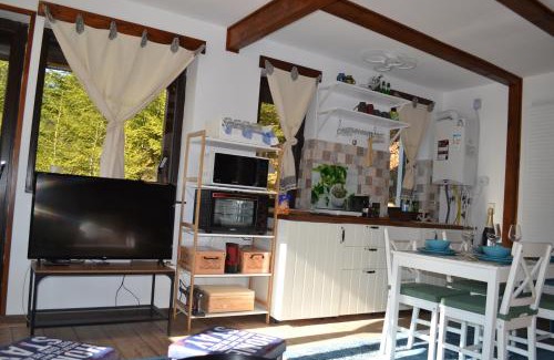 Azuga Apartment | Studio Mirage@Snow Residence (ski & forest)