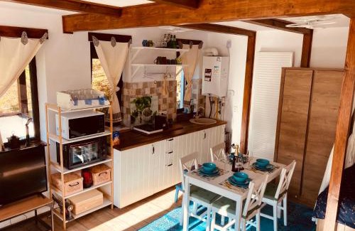 Azuga Apartment | Studio Mirage@Snow Residence (ski & forest)