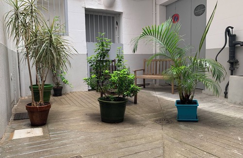 La Real Apartment | Studio near Castillet