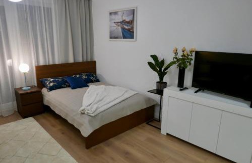 Wilanow Apartment | Studio nr 2 close to Medicover and Paley Institute
