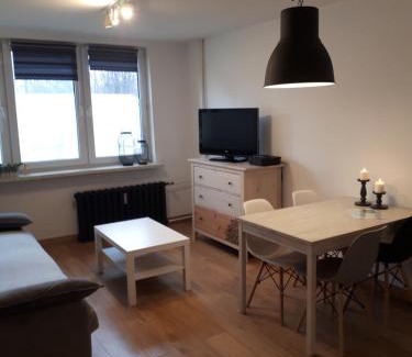 Chorzow Apartment | Studio park Katowice/Chorzów