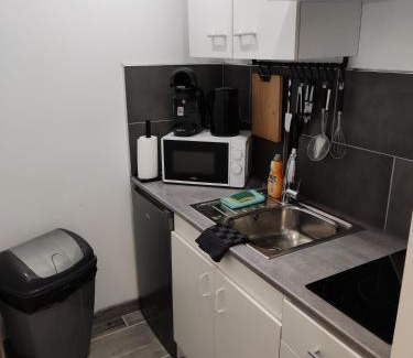 Herin Apartment | Studio Plain pied avec terrasse couverte 20m wifi et smart tv