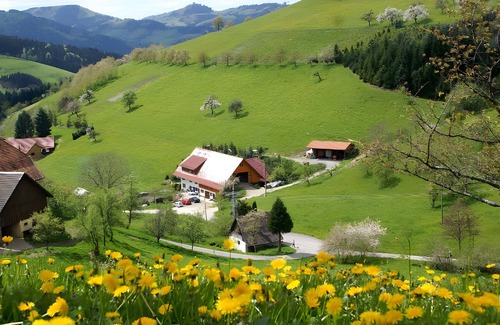 Zell am Harmersbach Apartment | Studio 'Rehblick' with Shared Garden and Wi-Fi