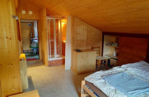 Lauenen Bei Gstaad House | Studio sans cuisine