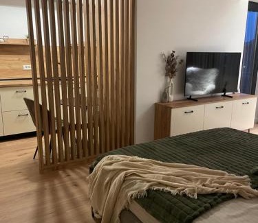 Ramnicu Valcea Apartment | Studio Sara