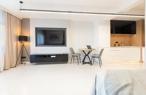 Zabrze Apartment | Studio Silesian Vip City Centrum Free Parking