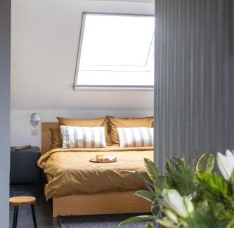 Ekkergem Apartment | Studio Spiegelhof