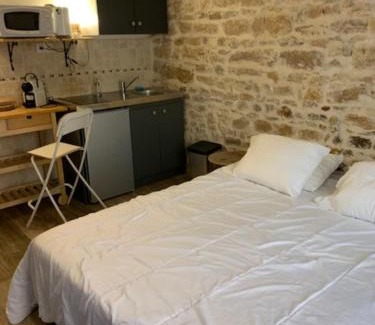Old Lyon Apartment | Studio with exposed stone Vieux Lyon