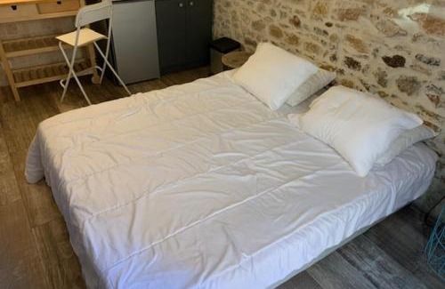 Old Lyon Apartment | Studio with exposed stone Vieux Lyon