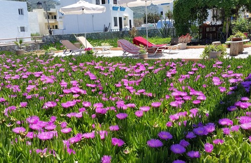 Milatos Beach Apartment | Studio with Seaview in a beautiful garden!
