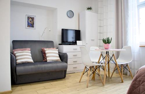 Przemysl Apartment | Studio z widokiem na rzekę