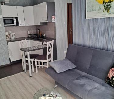 Jelenia Gora House | Studio Zabobrze