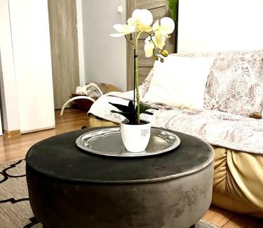 Zamosc Apartment | Studio Zielony Ryneczek