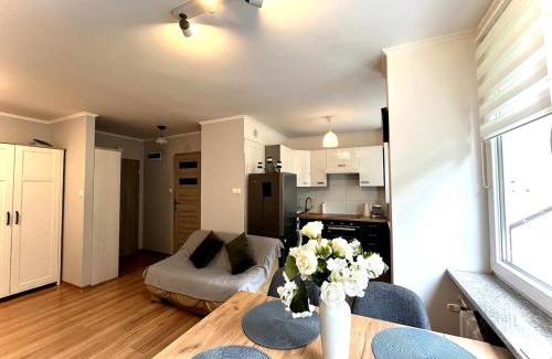Zamosc Apartment | Studio Zielony Ryneczek