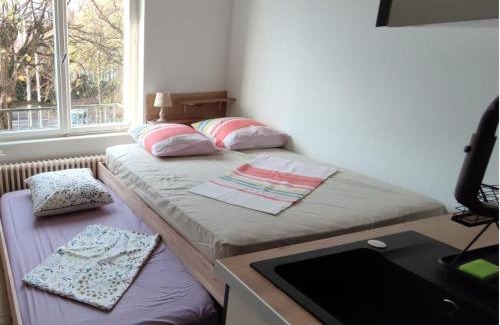 Orangerie Apartment | Studios Immostrasbourg - hébergements de tourisme classés proche centre et Conseil d'Europe