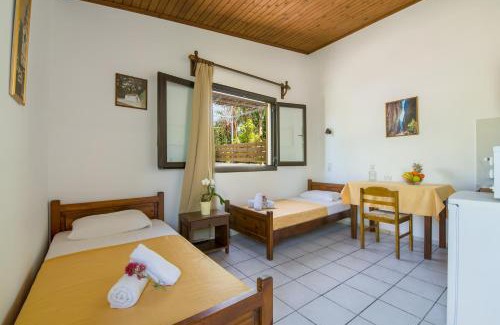 Pyrgos Psilonerou Apartment | Studios Kydonia