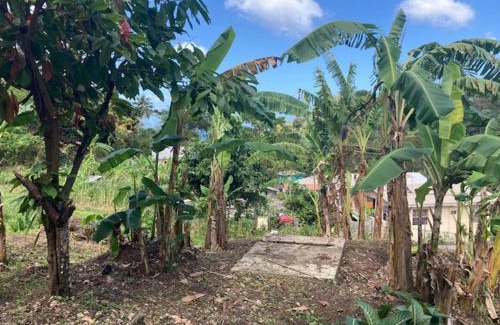 Grand Roy Apartment | Stunning 2-Bed Apartment in Grand Roy Grenada