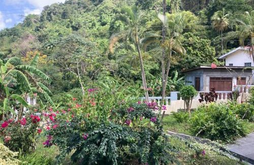 Grand Roy Apartment | Stunning 2-Bed Apartment in Grand Roy Grenada