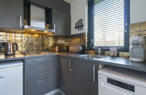 Ewijk House | Stunning private villa for 6 people with WIFI, hot tub, pool, TV, pets allowed and parking