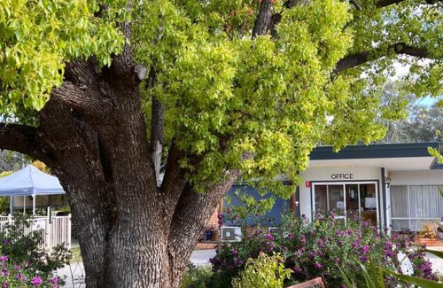 Balranald Hotel | Sturt Motel Balranald
